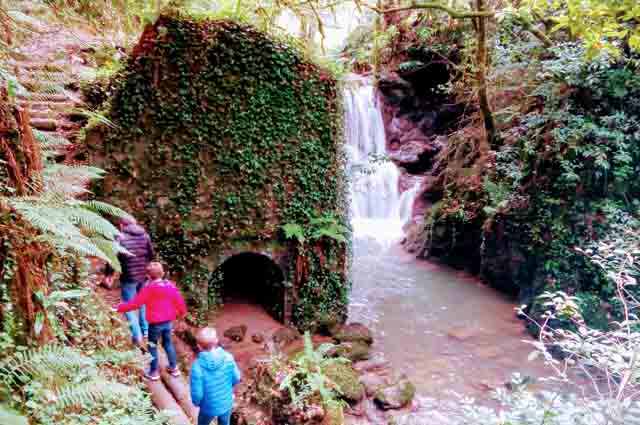 Bosque de Oma, qué ver y hacer