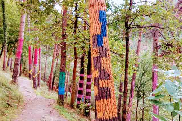 Bosque de Oma, qué ver y hacer